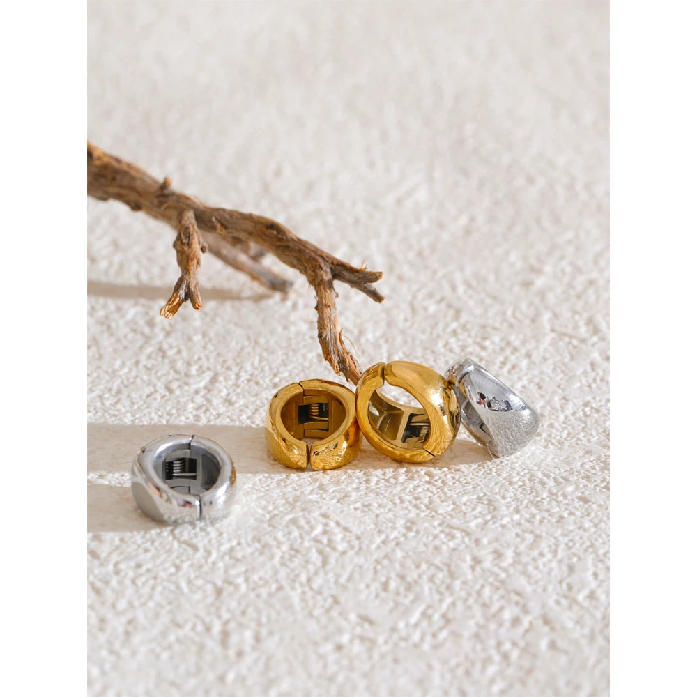 Modern Chic Clip-Ons