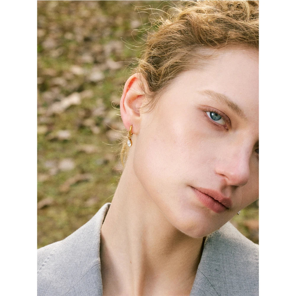 Crystal Drop Hoop Earrings