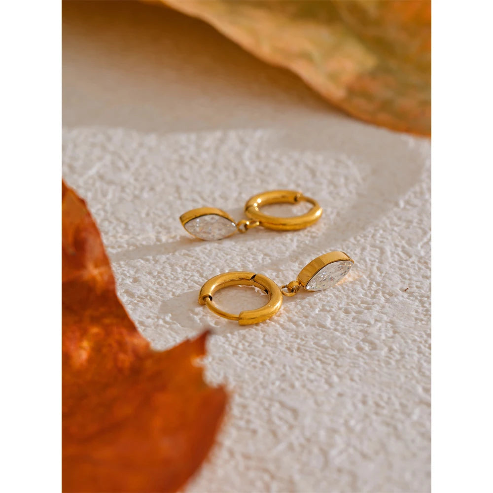 Crystal Drop Hoop Earrings
