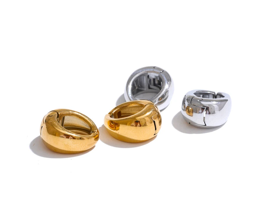 Modern Chic Clip-Ons