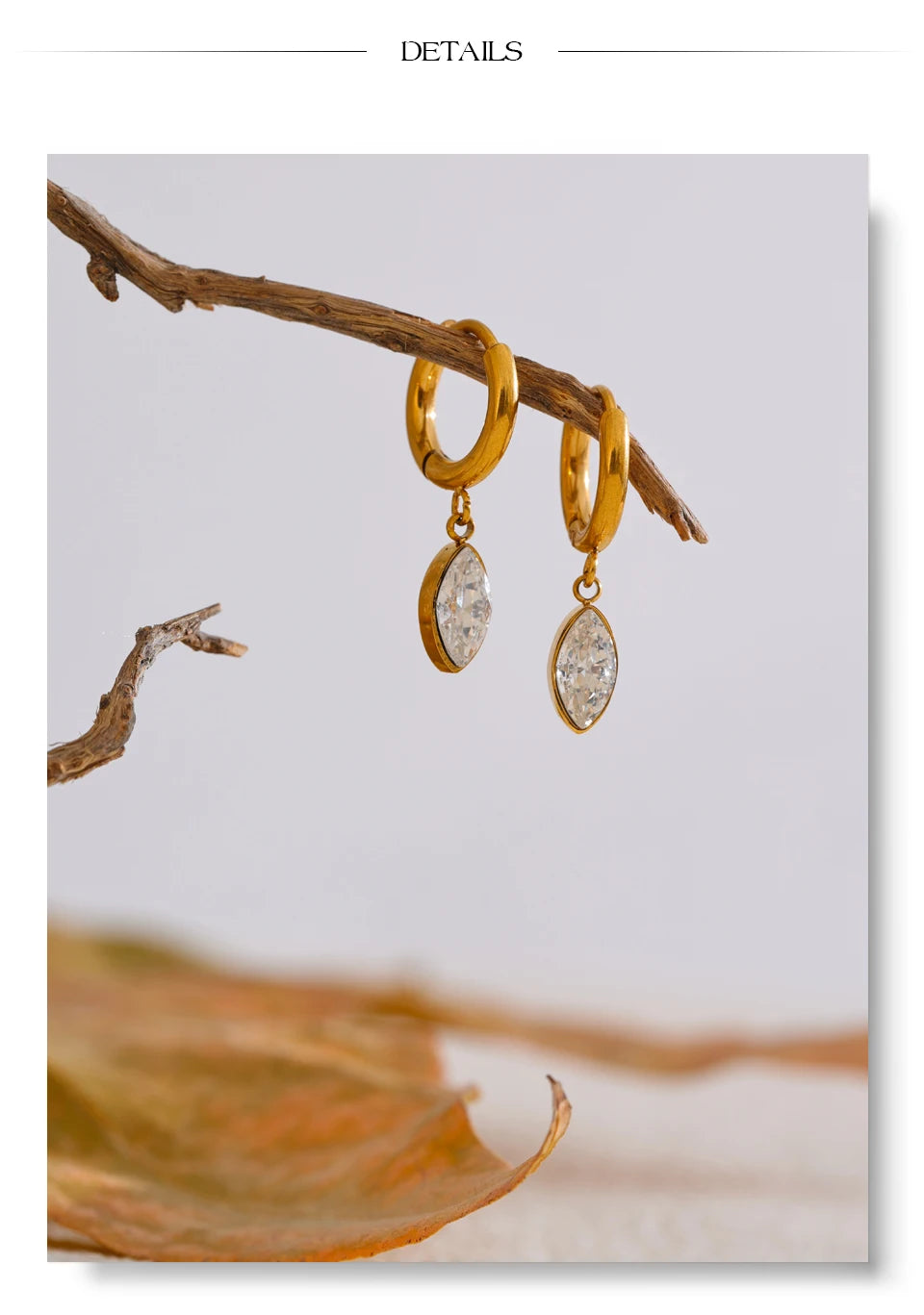 Crystal Drop Hoop Earrings