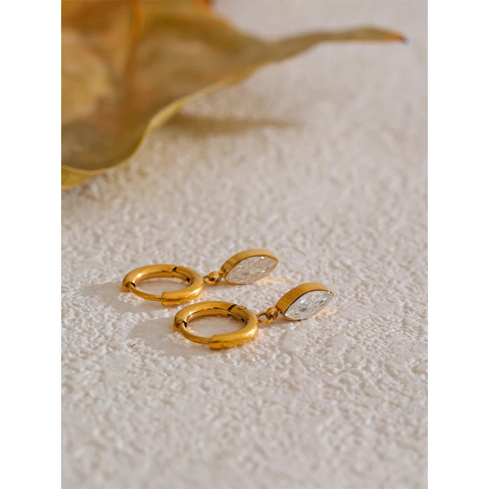 Crystal Drop Hoop Earrings