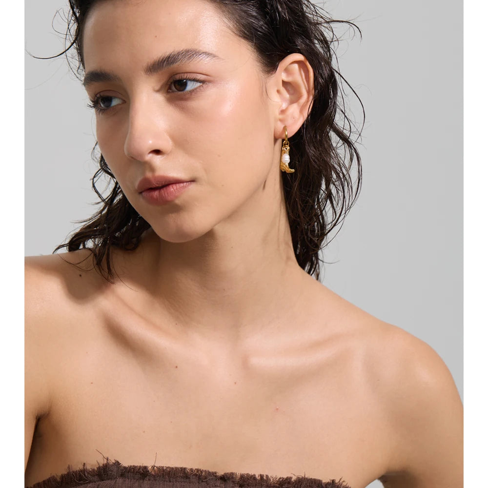 The Western Dream Hoops