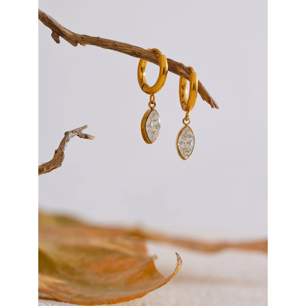 Crystal Drop Hoop Earrings