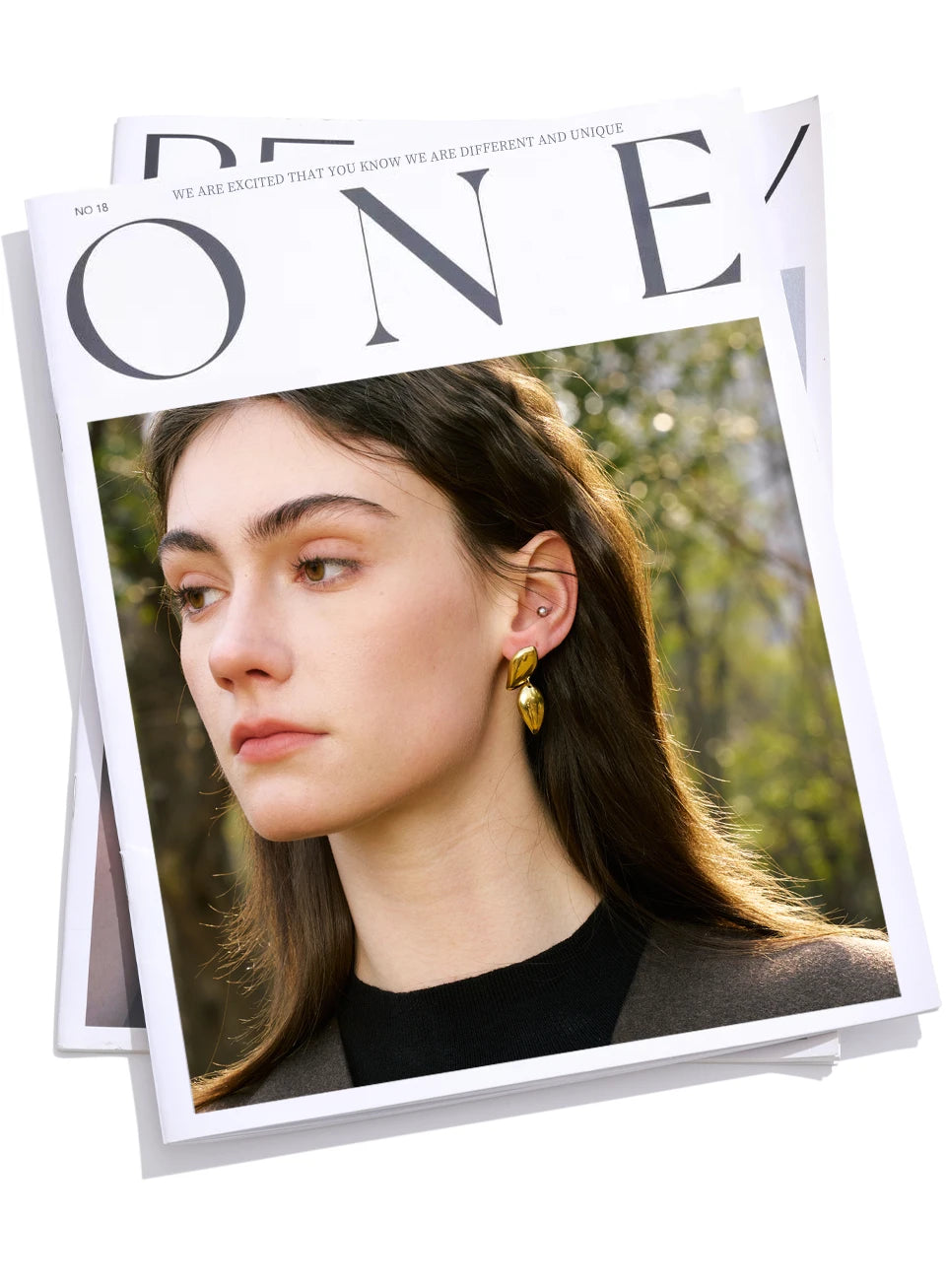 Teardrop Duo Earrings